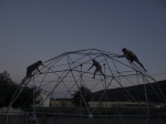 montaje cúpula